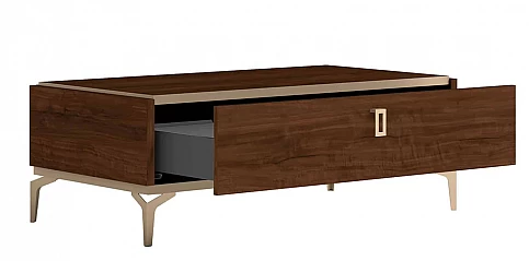 Μοντέρνο τραπεζάκι σαλονιού με συρτάρι και Ορειχάλκινες Λαβές EVA (NEVA1)