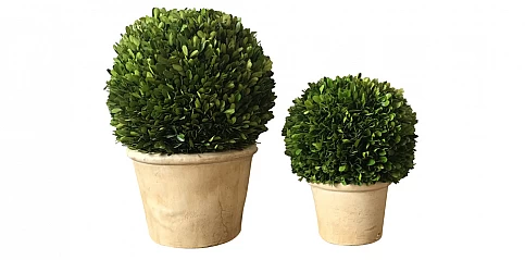 Διακοσμητικά γλαστράκια σετ (0004)