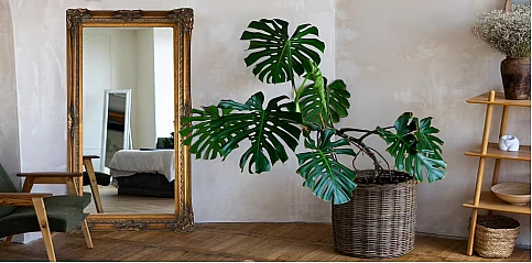 Καθρέφτης τοίχου (8530)