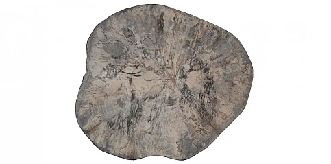 Μεγάλος δίσκος κοπής (493L)